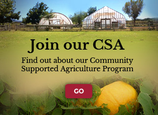 Join our CSA